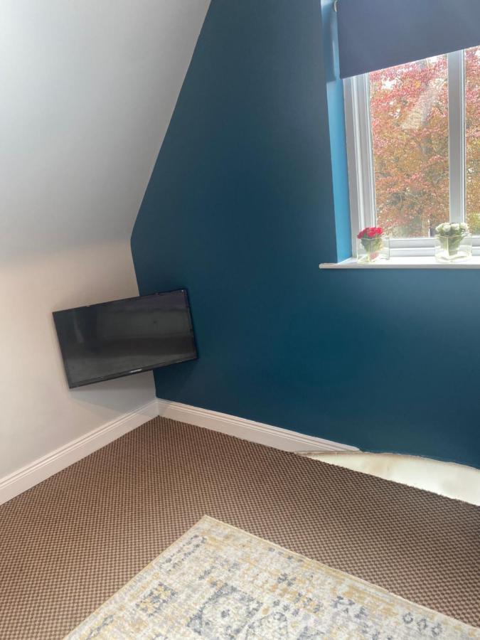 The Willows Lovely Double Apartment Rostrevor Zewnętrze zdjęcie